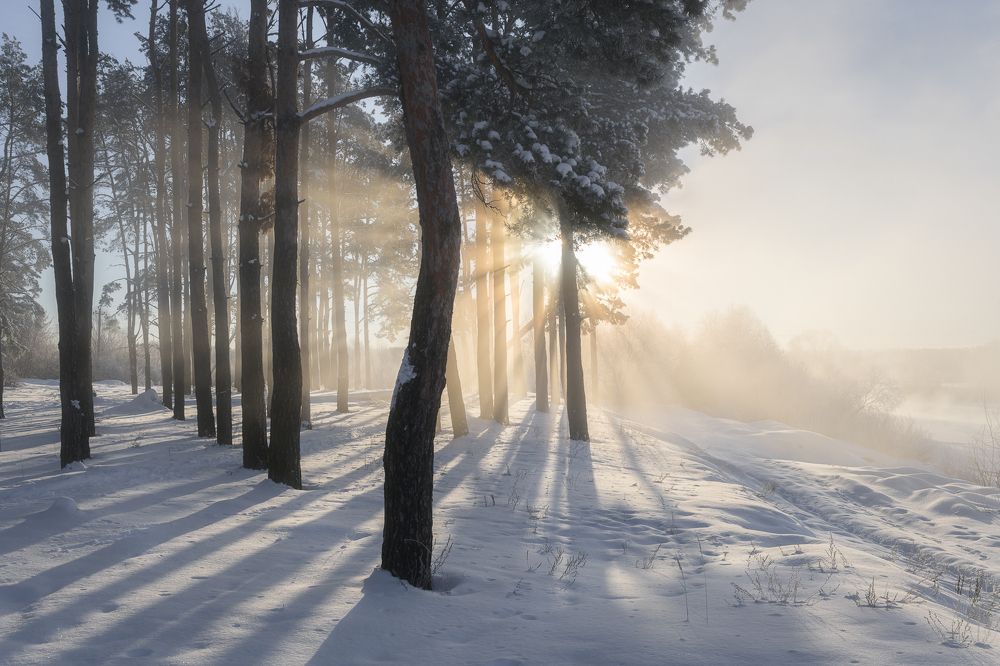 Photograph by Юлия Лаптева