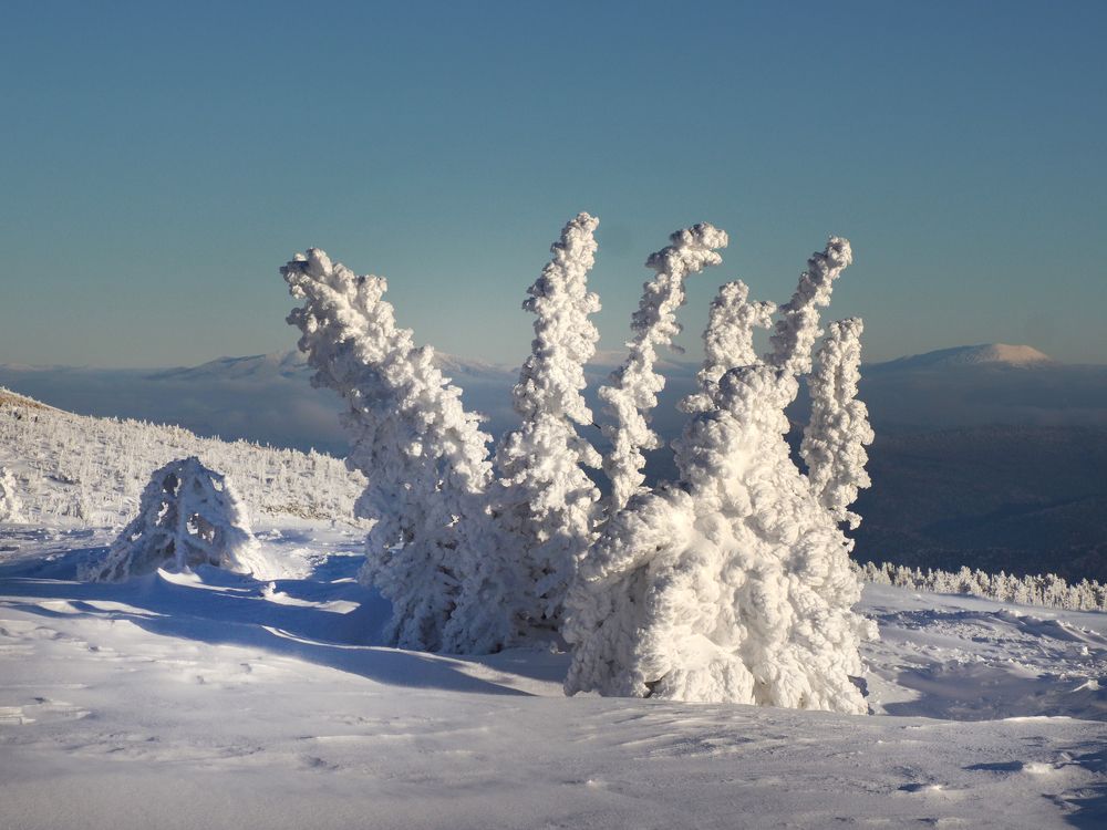 Photograph by Галина Михоношина