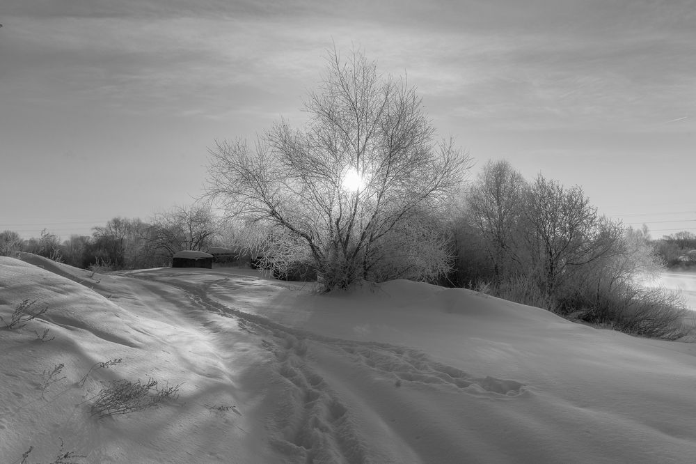 Photograph by Юлия Лаптева