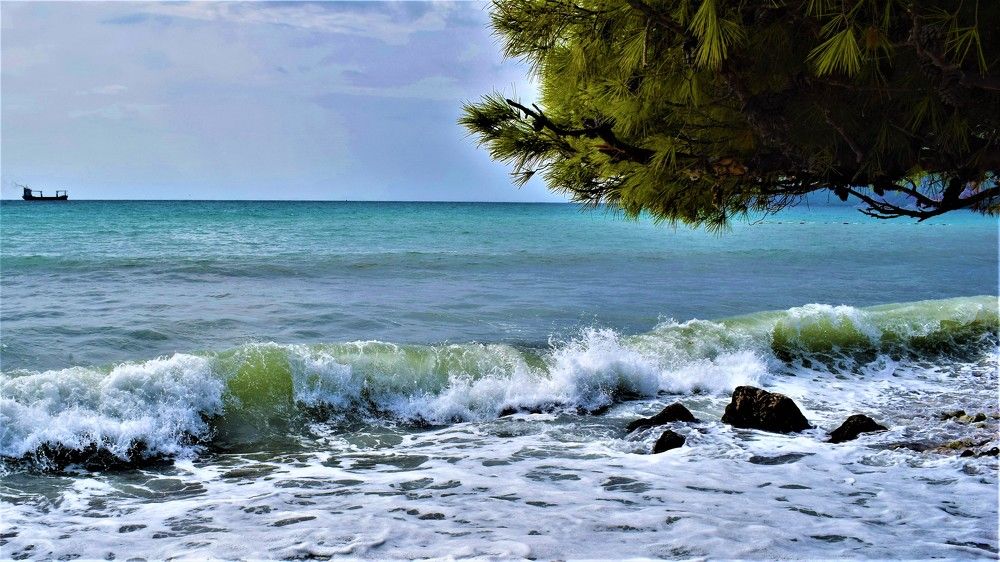 Photograph by Nataliya Wintraecken