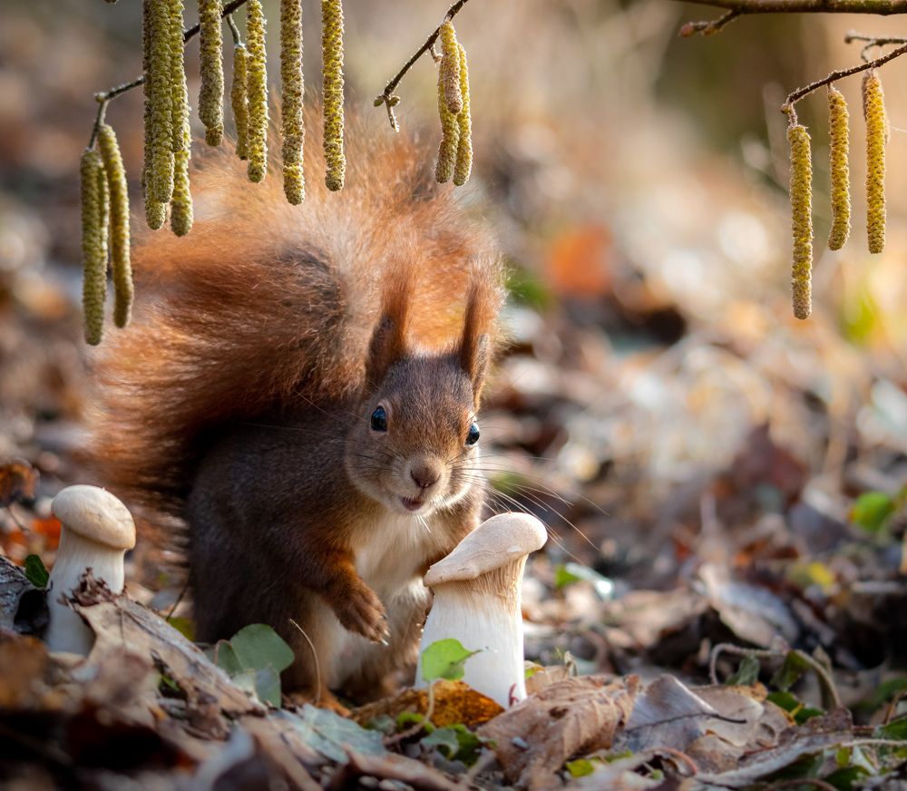 Photograph by Olena Pfister