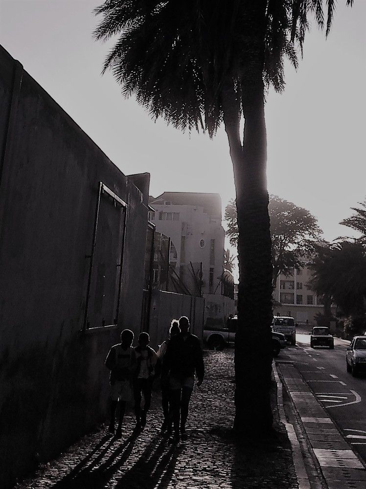 Photo #7012734