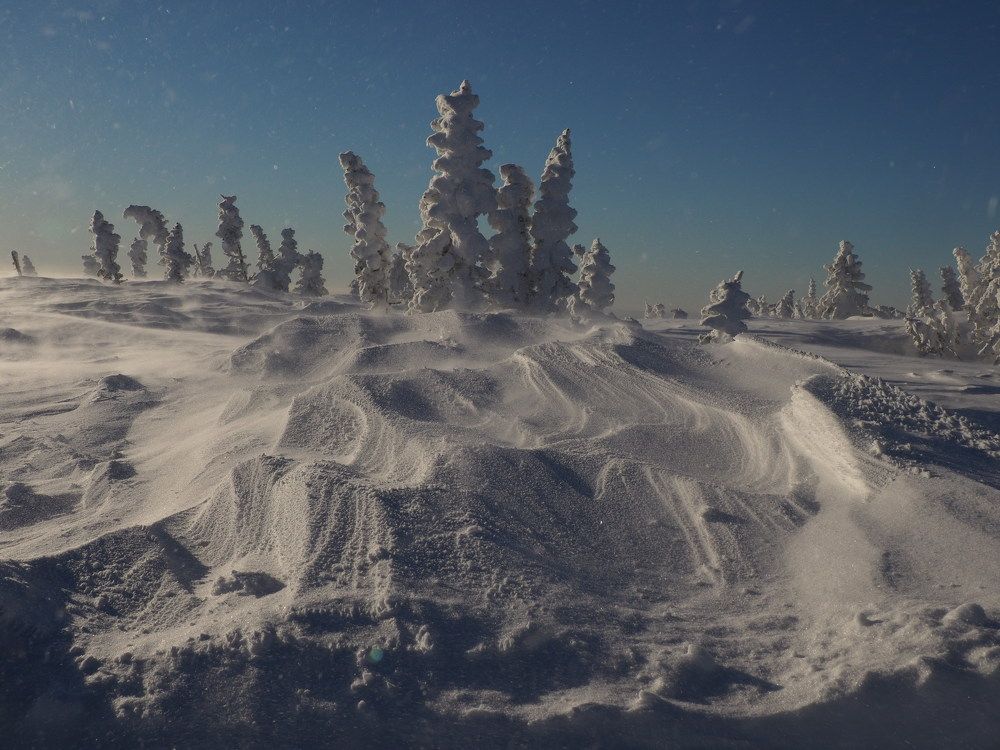 Photograph by Галина Михоношина