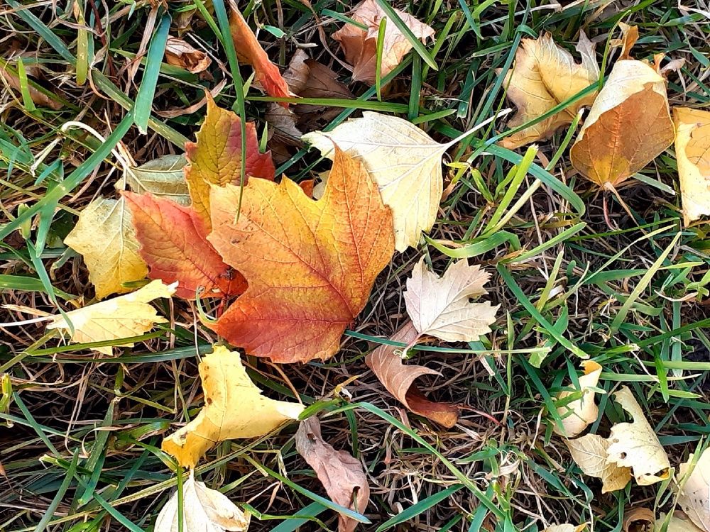 Photograph by Евгения Ульянова