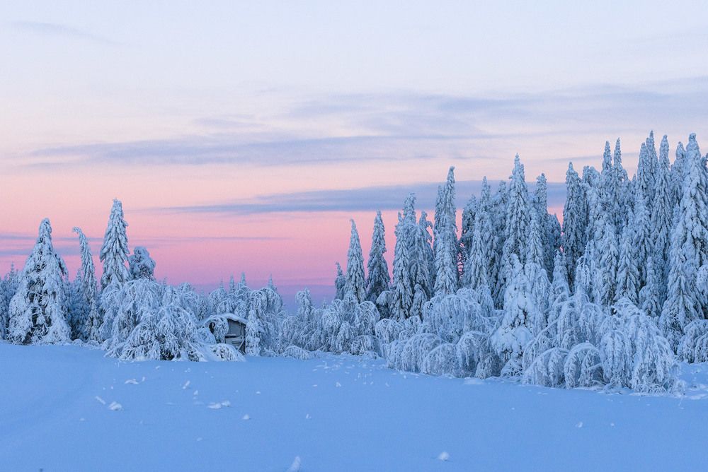 Зимним днем.