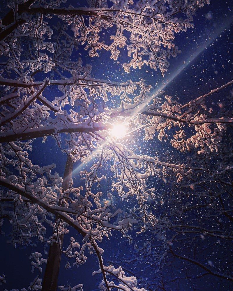 Photograph by Kubys KubysoVv