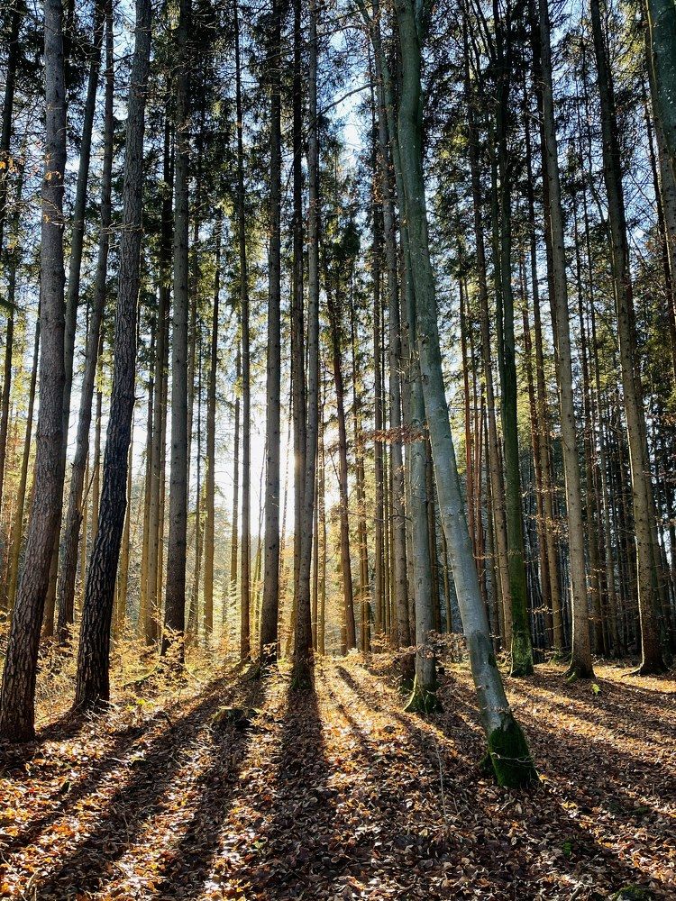 Photograph by Liubou