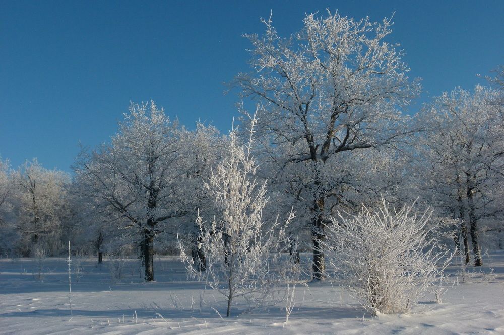 Photograph by Александр Кизим