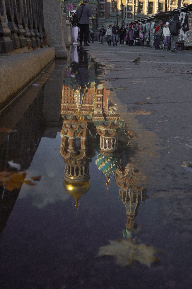 Фотография автора Есина Елена