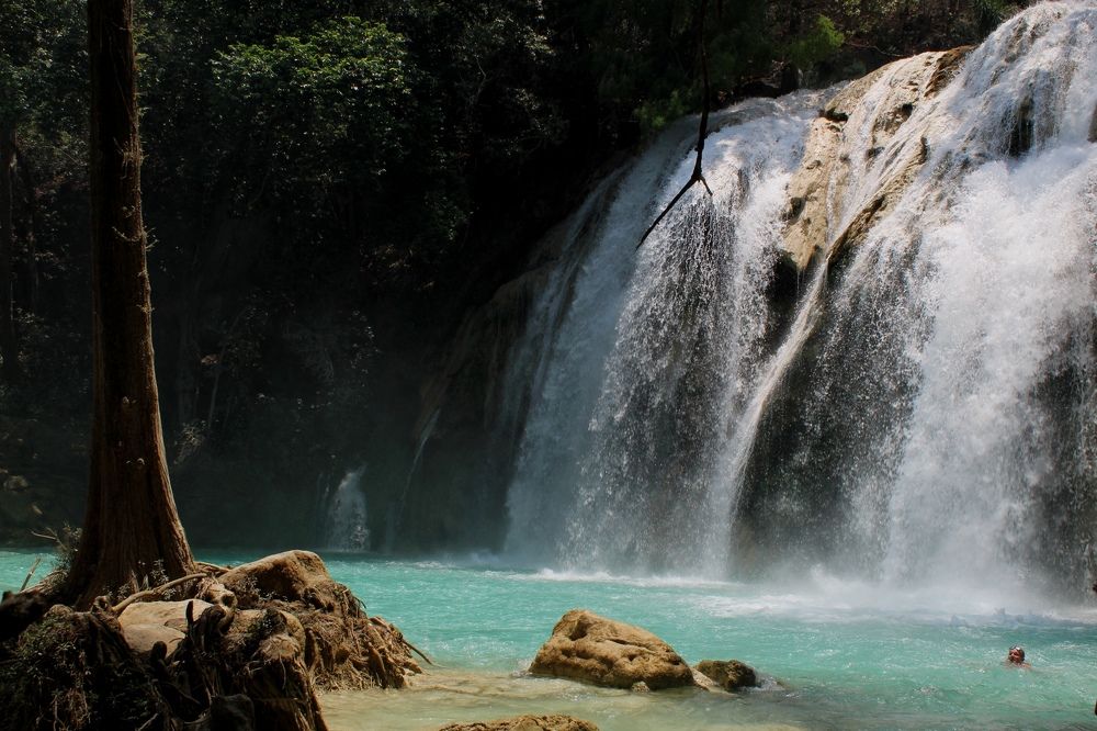 Photograph by Andrea Alcalá