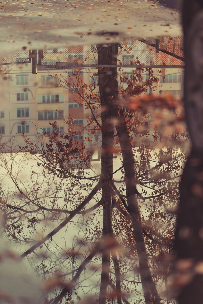 Photograph by Юлия Руденко