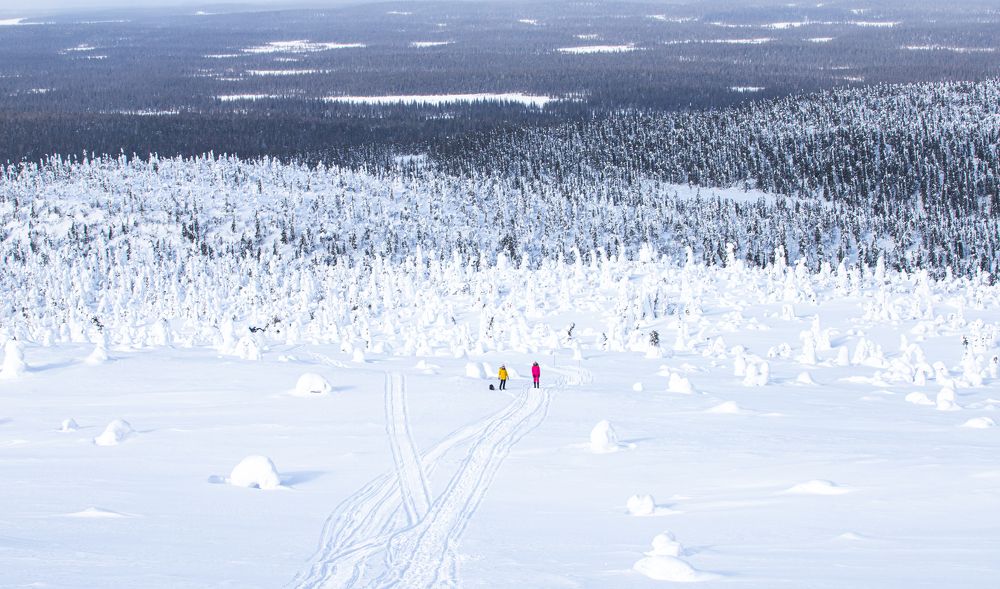 Фотография автора Есина Елена