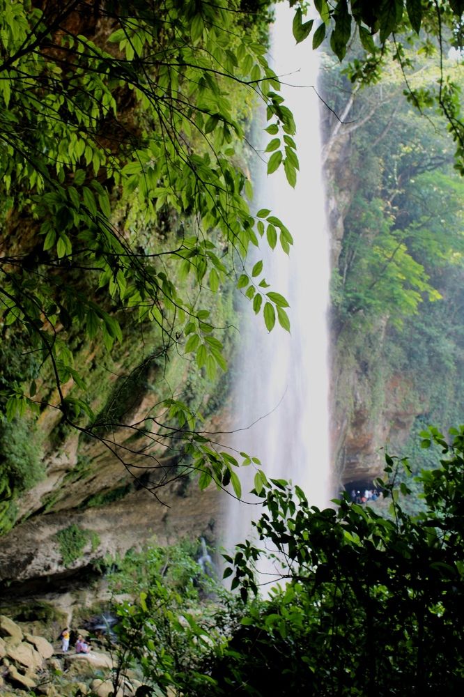 Photograph by Andrea Alcalá