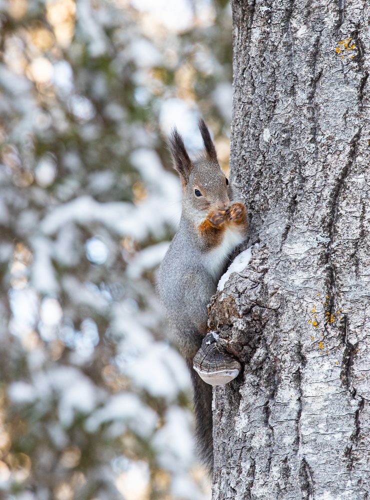 Фотография автора Есина Елена
