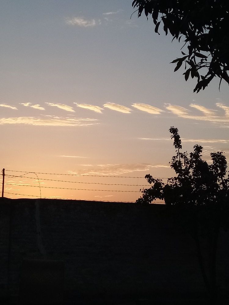 Photo #7013007
