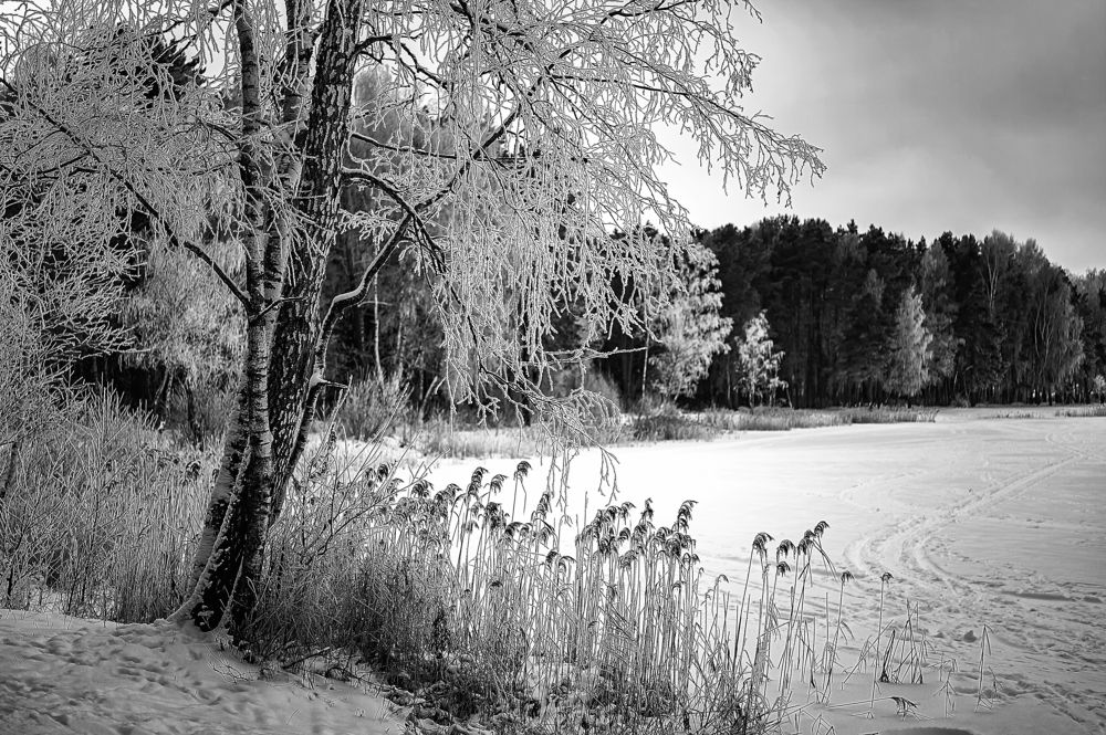 Photograph by Николай Смолянкин