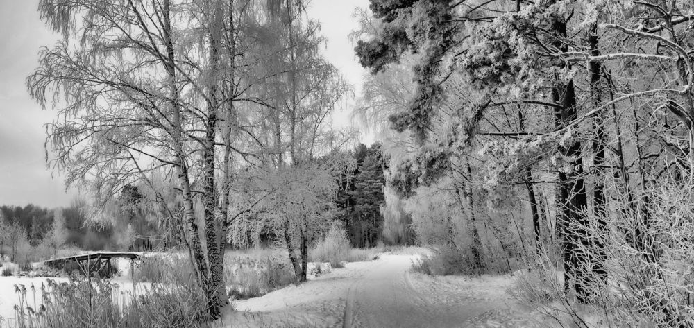 Photograph by Николай Смолянкин