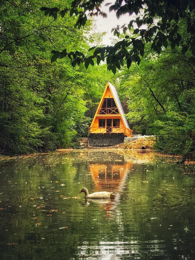 Photograph by Nunu Gambashidze