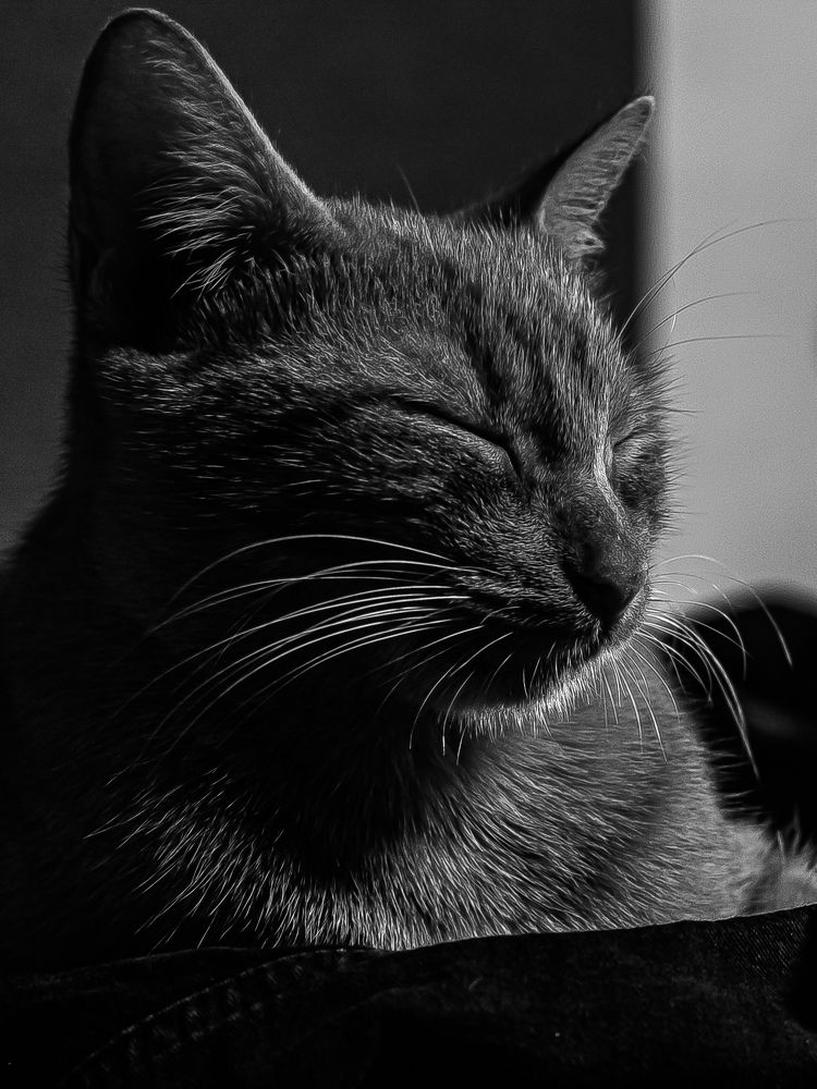 Photograph by Fernando