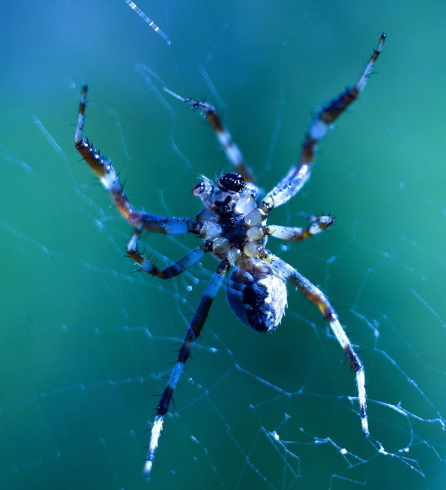 Photograph by Дмитрий Дрозд