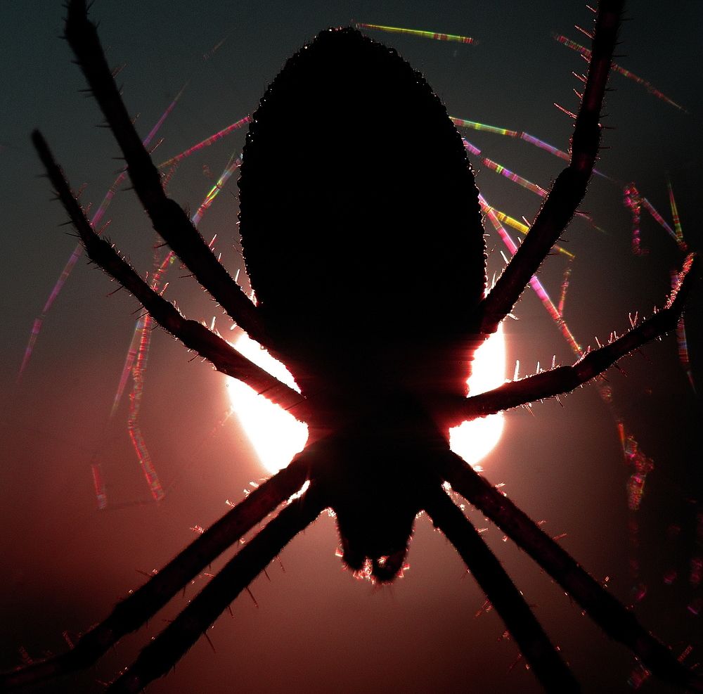 Photograph by Дмитрий Дрозд