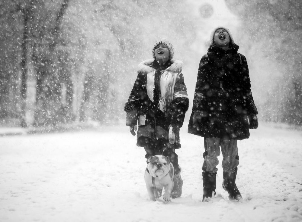 Photograph by Денис Труфанов