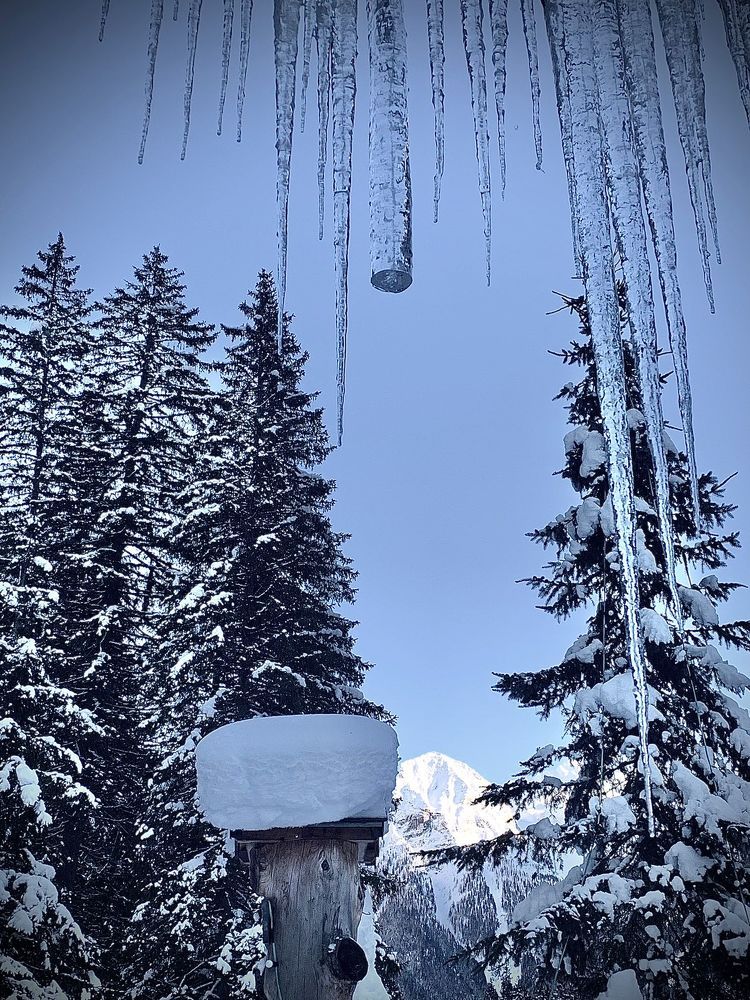 Фотография автора Guzel Kolobova