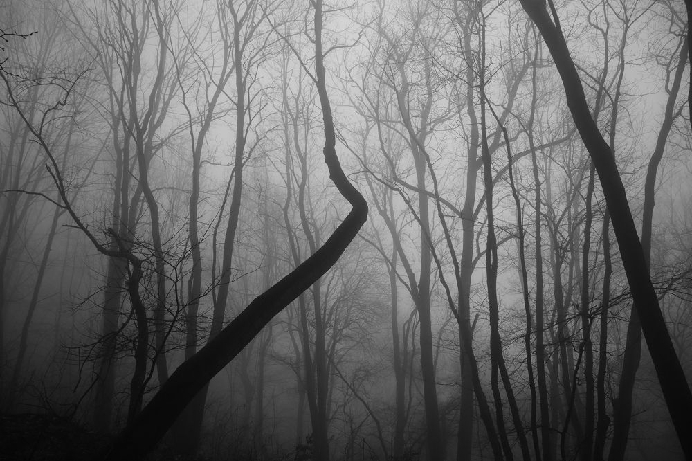 Photograph by Ivaylo Bozhinov