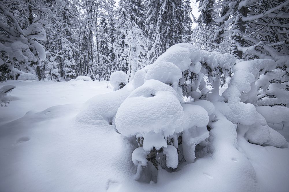 Photograph by Анастасия Третьякова