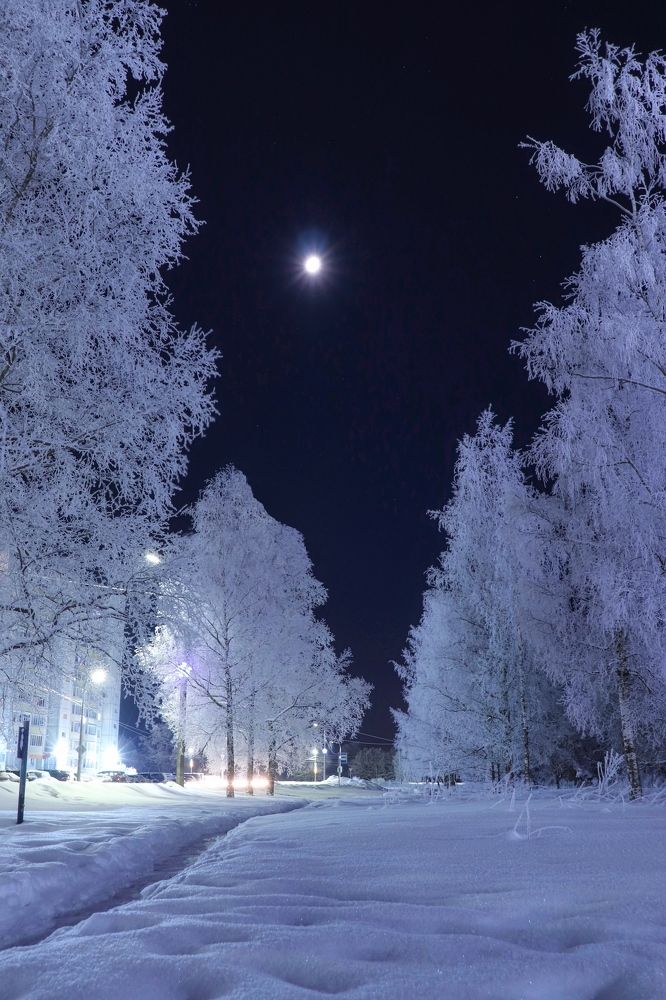 Фотография автора Юрий Тихонов