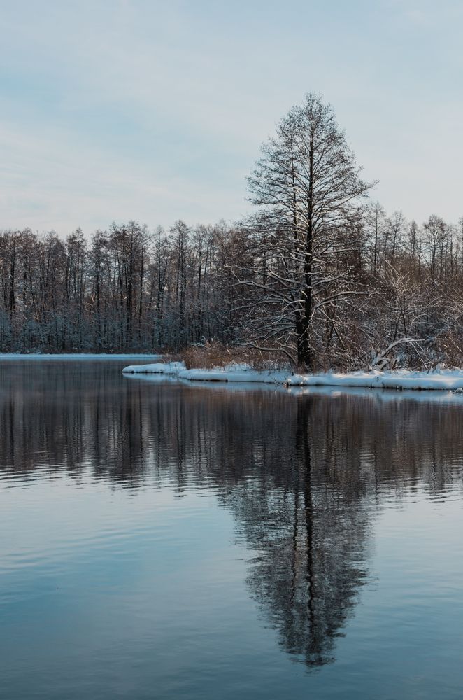 Photograph by Lera Z