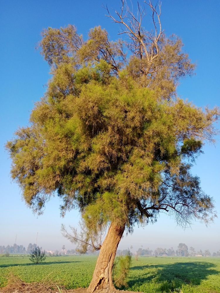 Photograph by Zahra Omar