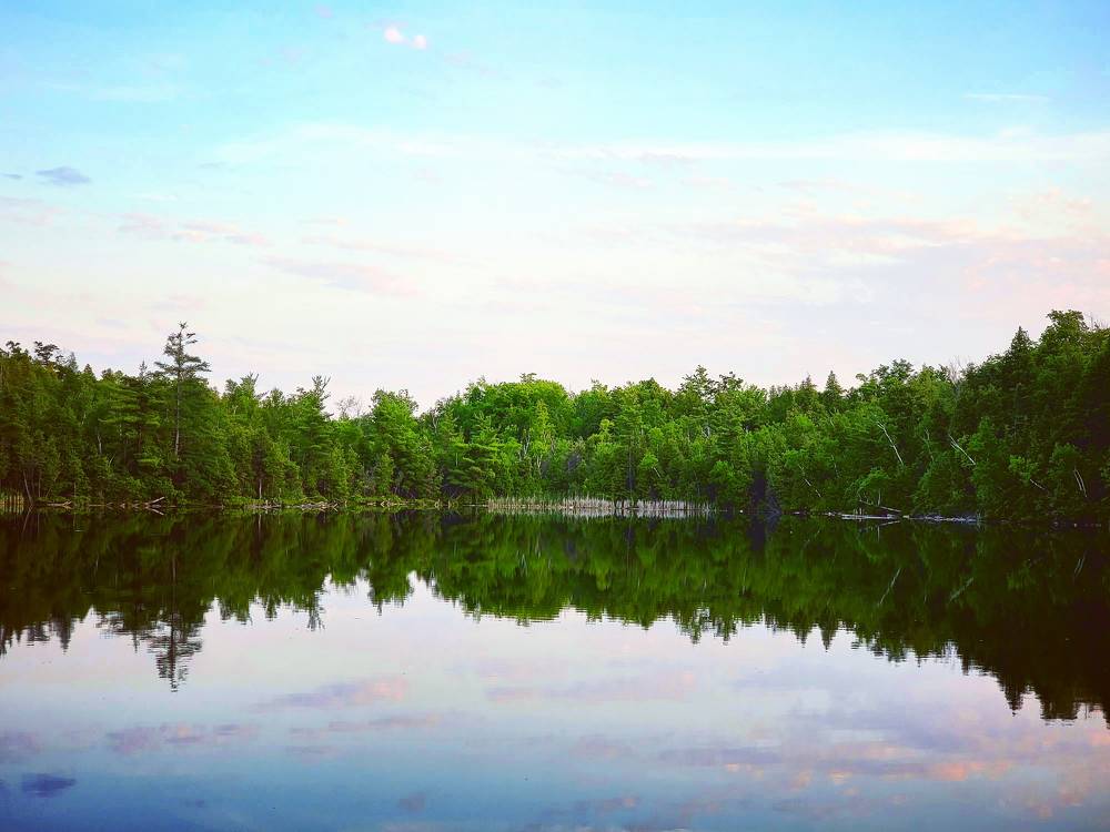 Photograph by Sharon Sabharwal