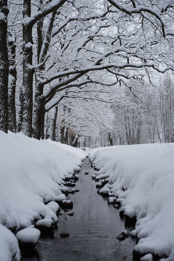 Photograph by Сергей Филиппов