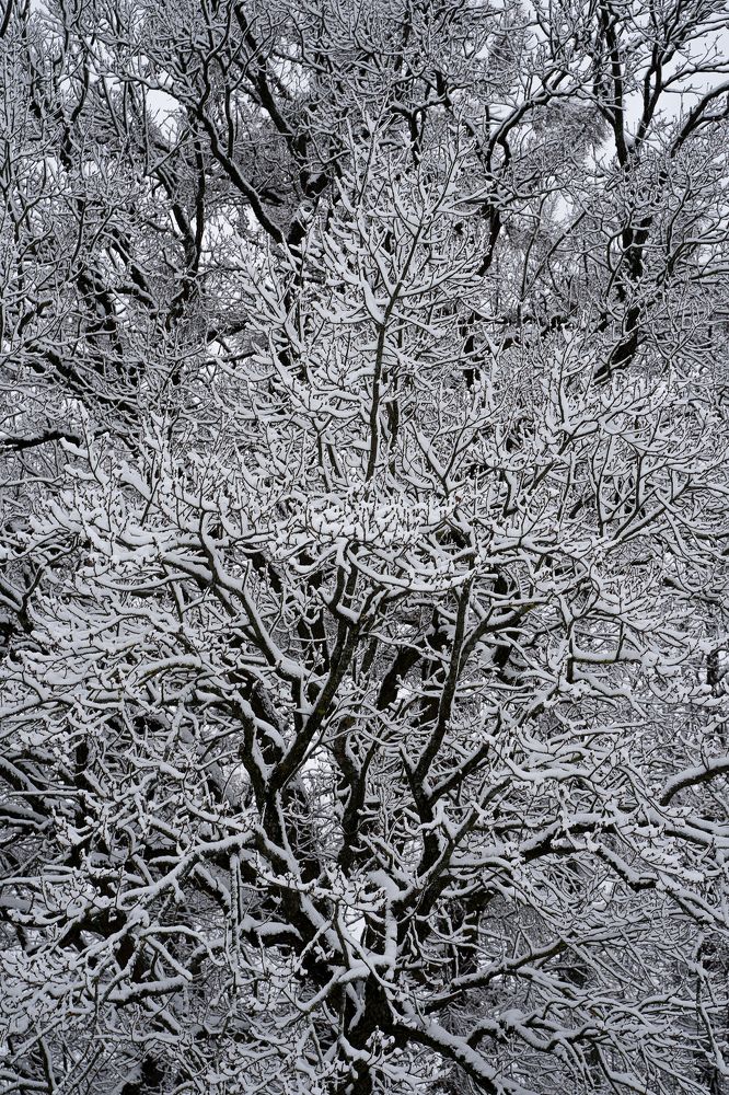 Photograph by Сергей Филиппов