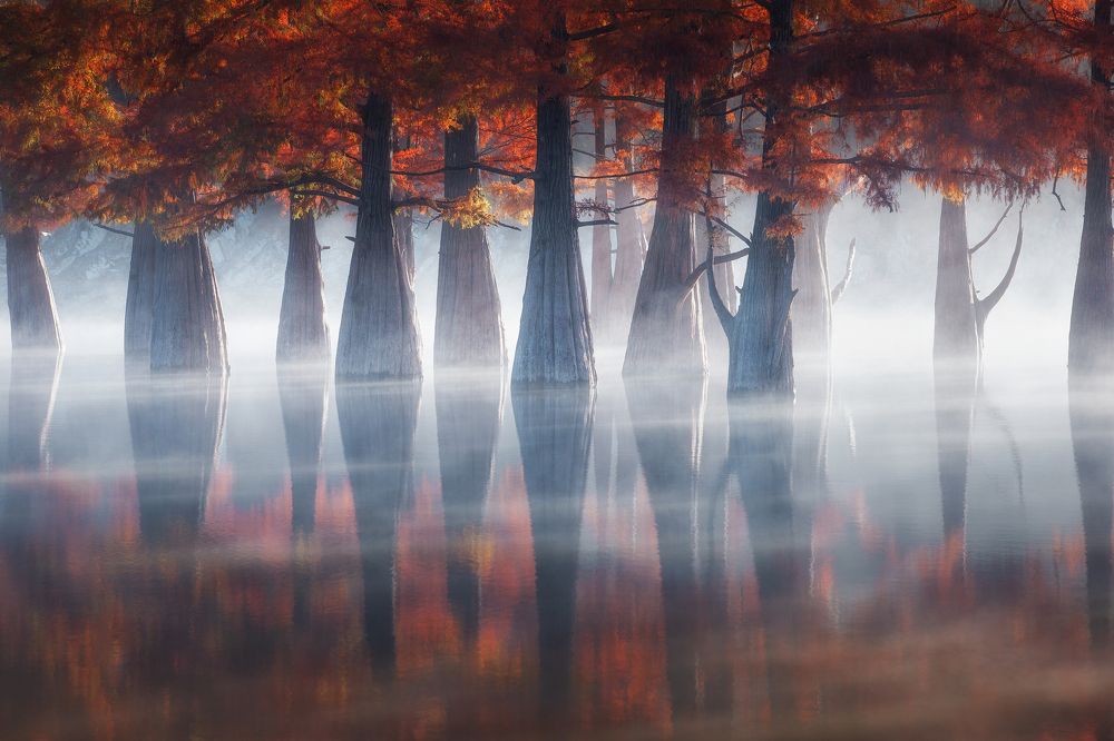 Photograph by Роман Любимский