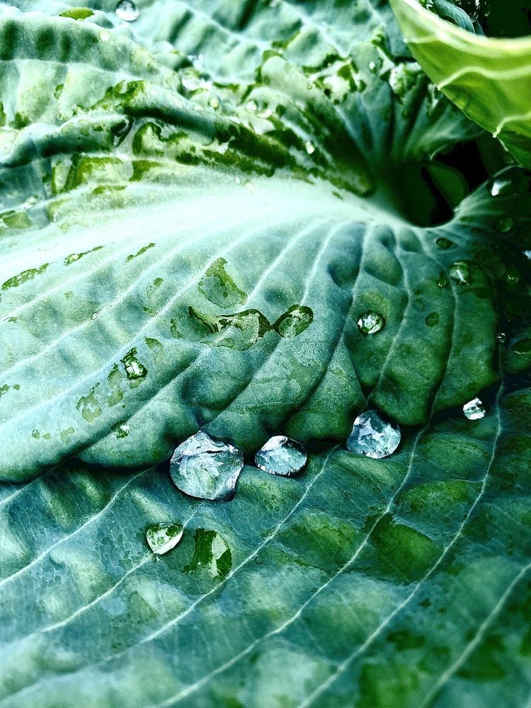 Фотография автора Елена