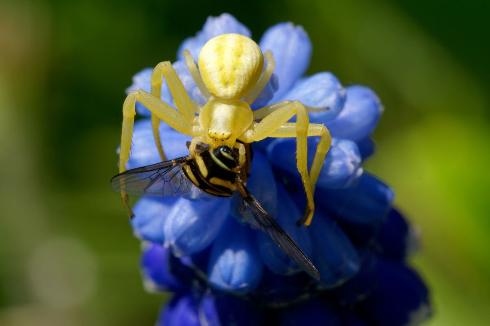 Photograph by Пётр Калачев