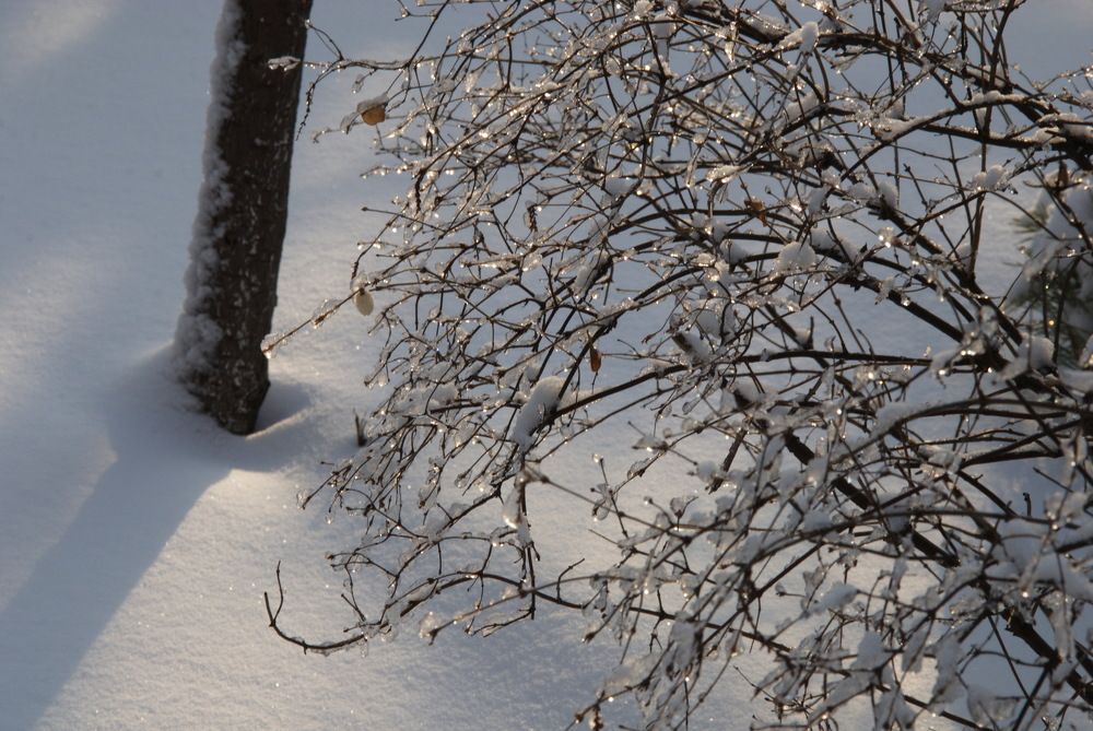 Photograph by Аркадий Пекер