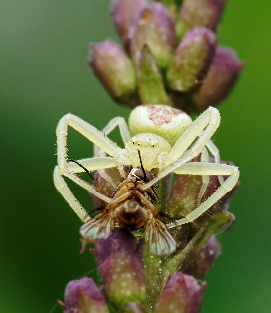 Photograph by Пётр Калачев