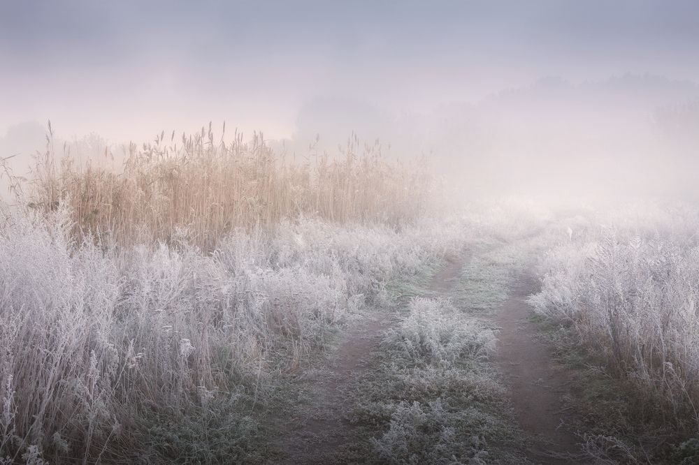 Photograph by Роман Любимский