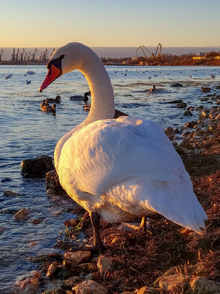 Photograph by Лариса Когтева