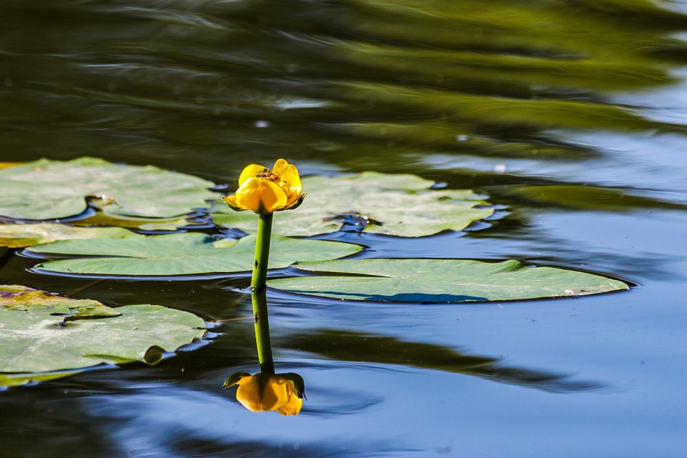 Photograph by Светлана Долгих