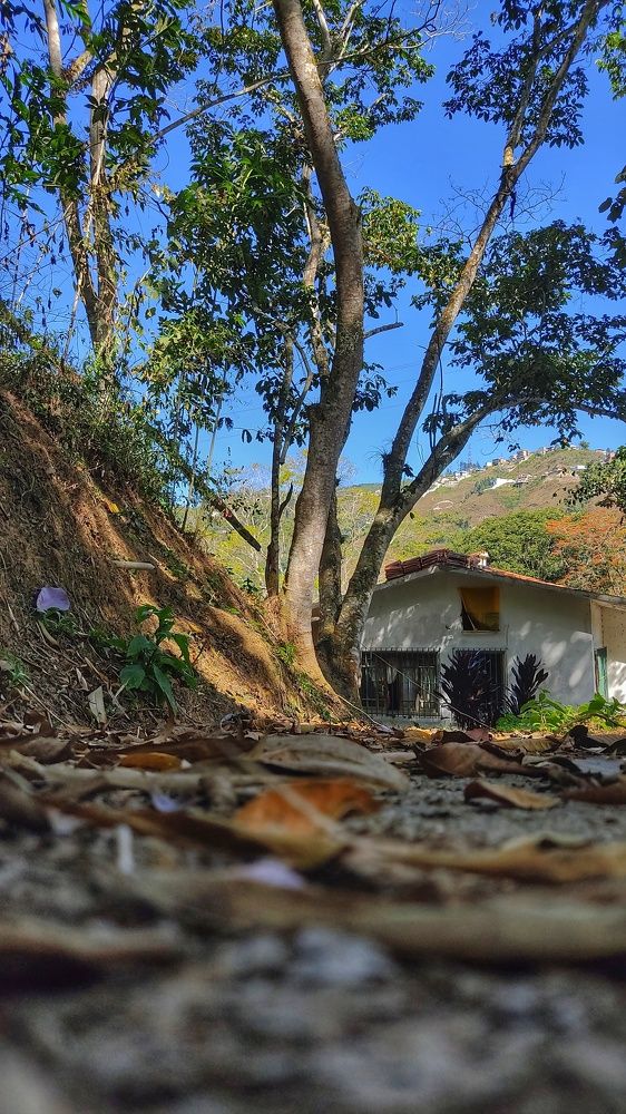 Photograph by Nileydi Colmenarez