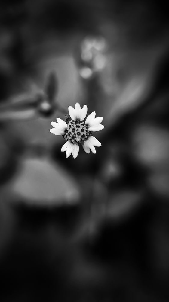 Photograph by Nileydi Colmenarez