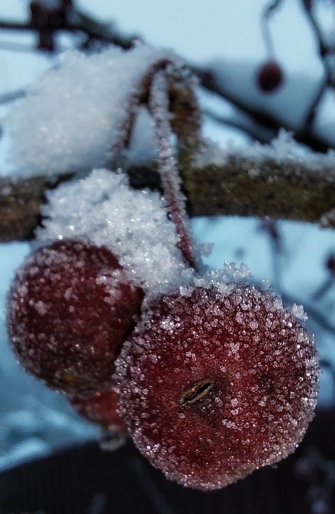 Photograph by Екатерина Баклыкова