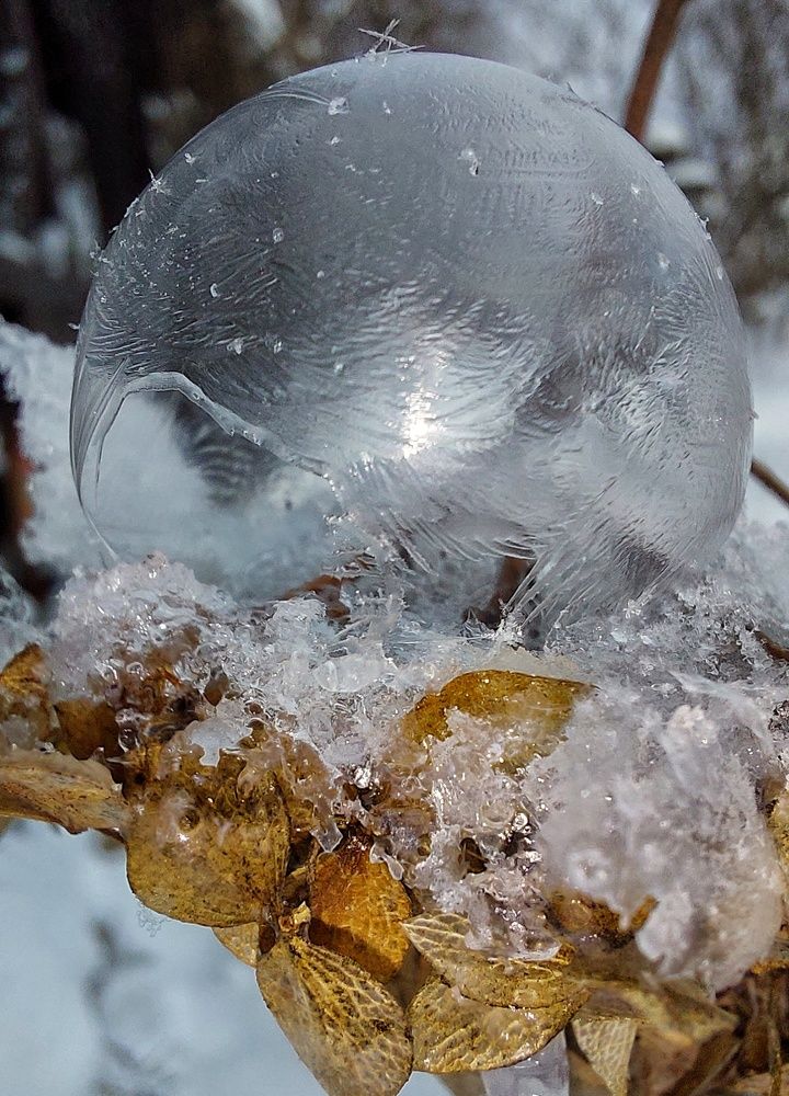 Photograph by Екатерина Баклыкова