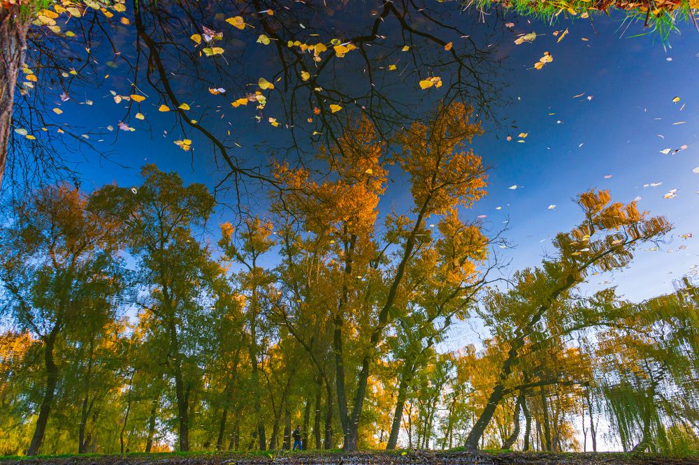 Photograph by Анна Хазова