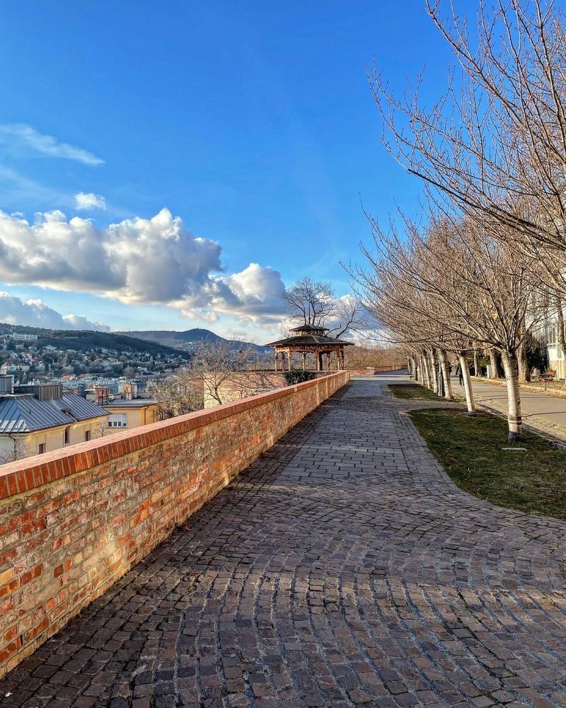 Photograph by Elena Efremova