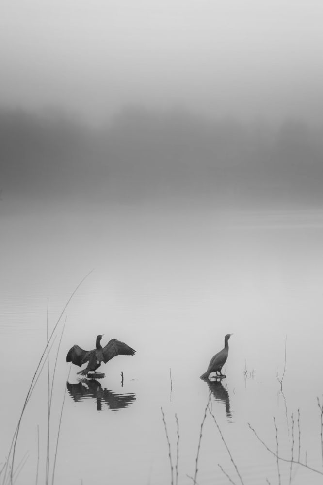 Фотография автора Sadegh Amiri Hanzaki